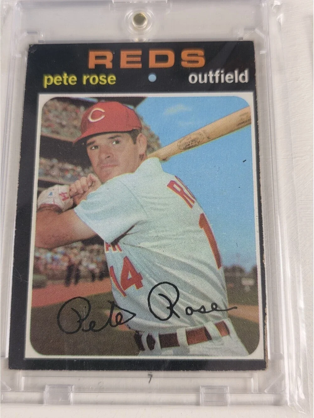Huge Lot ~ Collection of Pete Rose Baseball Cards With Auto 1971, Book & Box Set